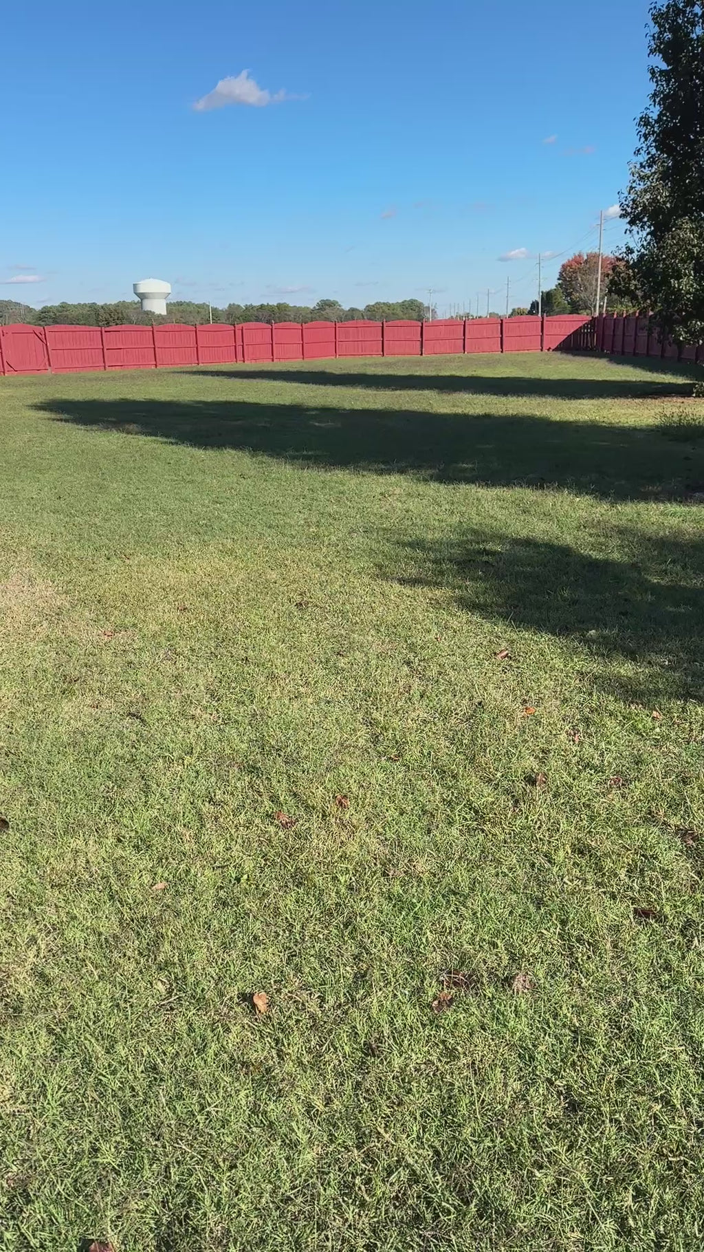 “ Celestial” Ring