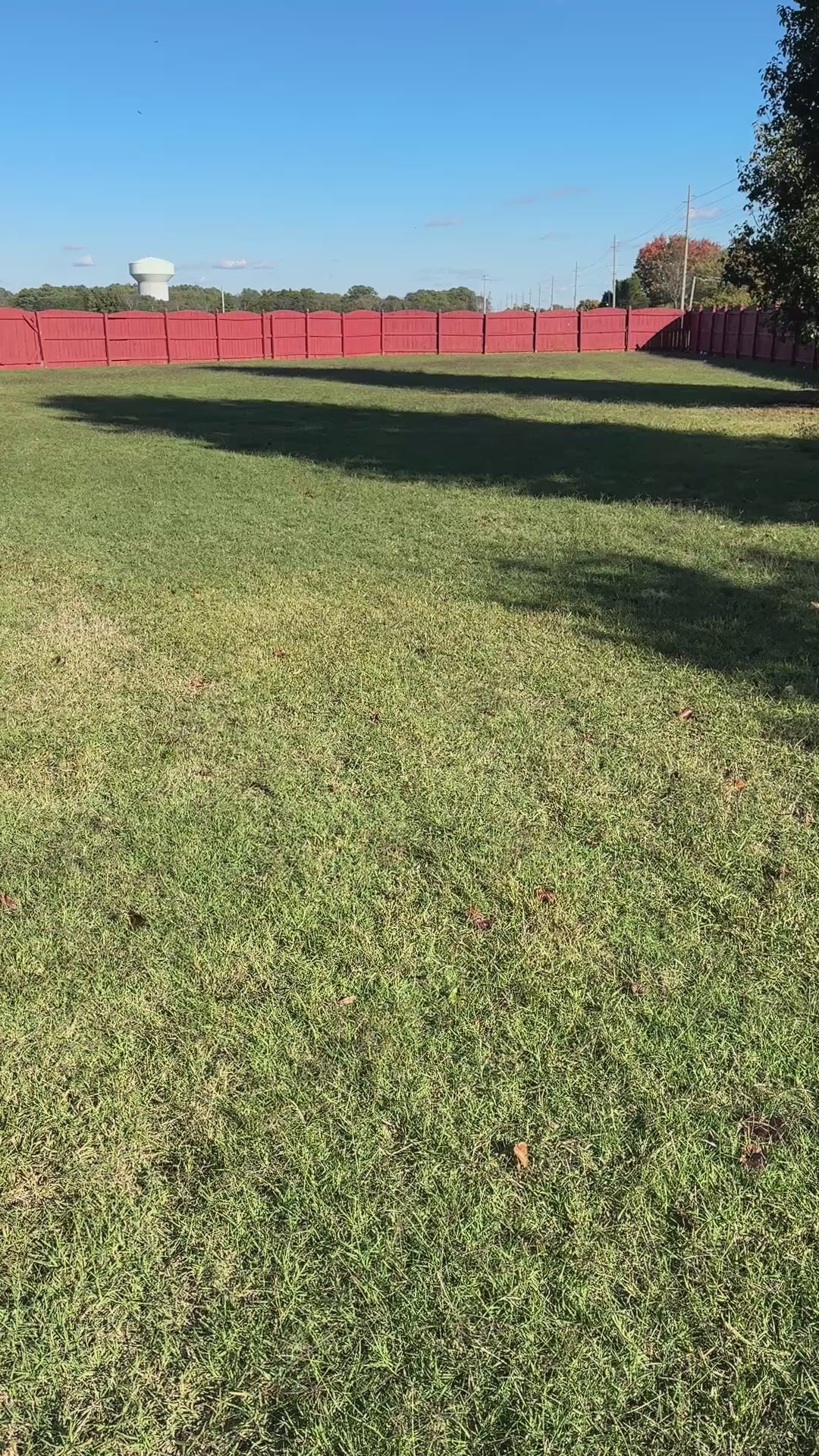 “That’ll be Extra” Ring