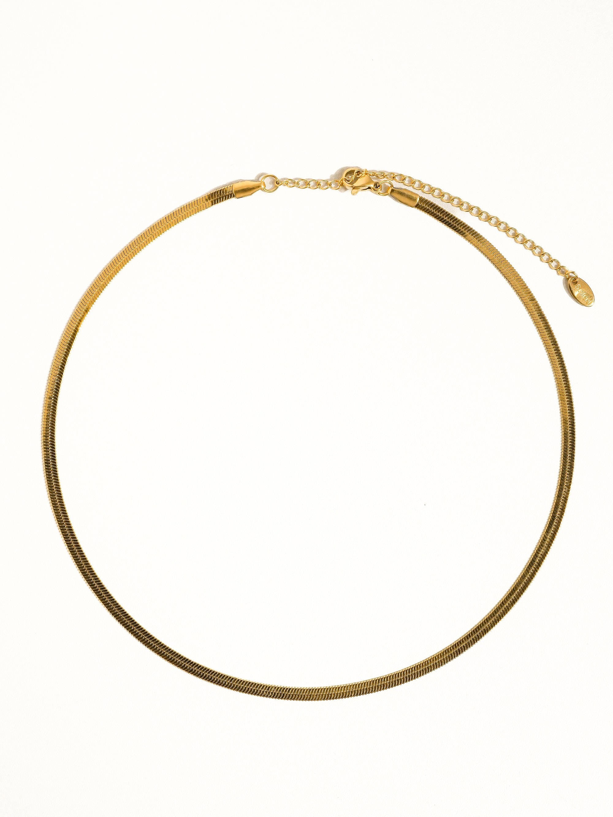 "Chokes On You" Choker Necklace